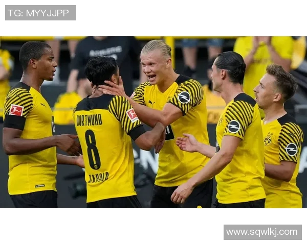 莱比锡与赫根历史交战回顾及战绩分析 莱比锡与赫根历史交战回顾及战绩分析